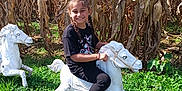 Emma joined the competition — help win amazing prizes! black_clothing, braids, child, cornfield, daylight, dry_corn, farm, girl, grass, greenery, happy, nature, outdoor, play, portrait, recreation, rocking_horse, smiling, sunny, toy