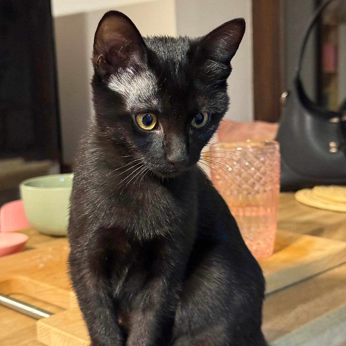 Miguêlle participe au concours pour gagner de l'argent avec cette photo :