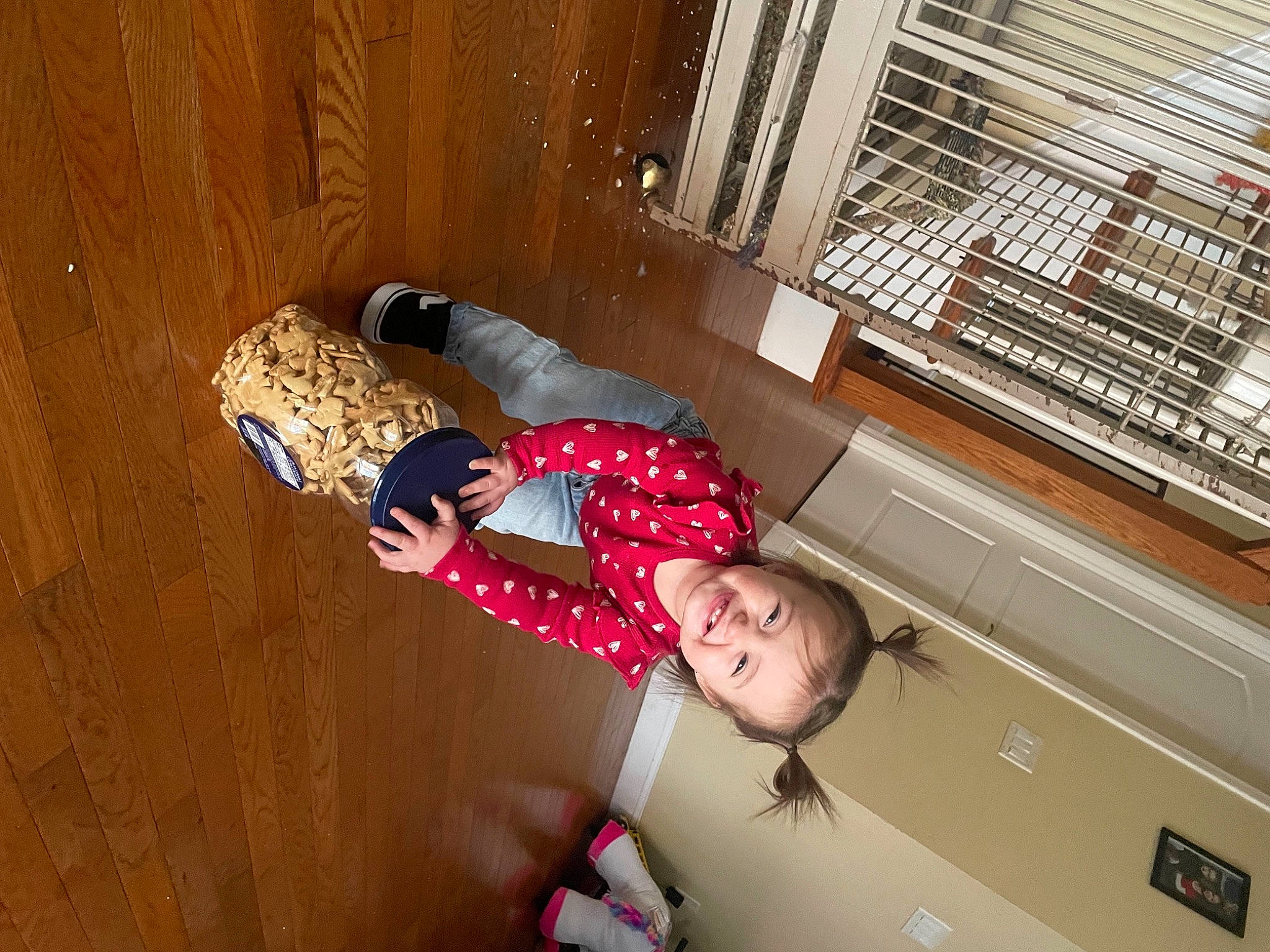 Aliyana is registered to the contest to win money with this photo: child, comfort, elbow, flooring, fun, hardwood, human_leg, joy, knee, lap, leg, leisure, pattern, person, room, sitting, thigh, toddler, window_blind, window_covering