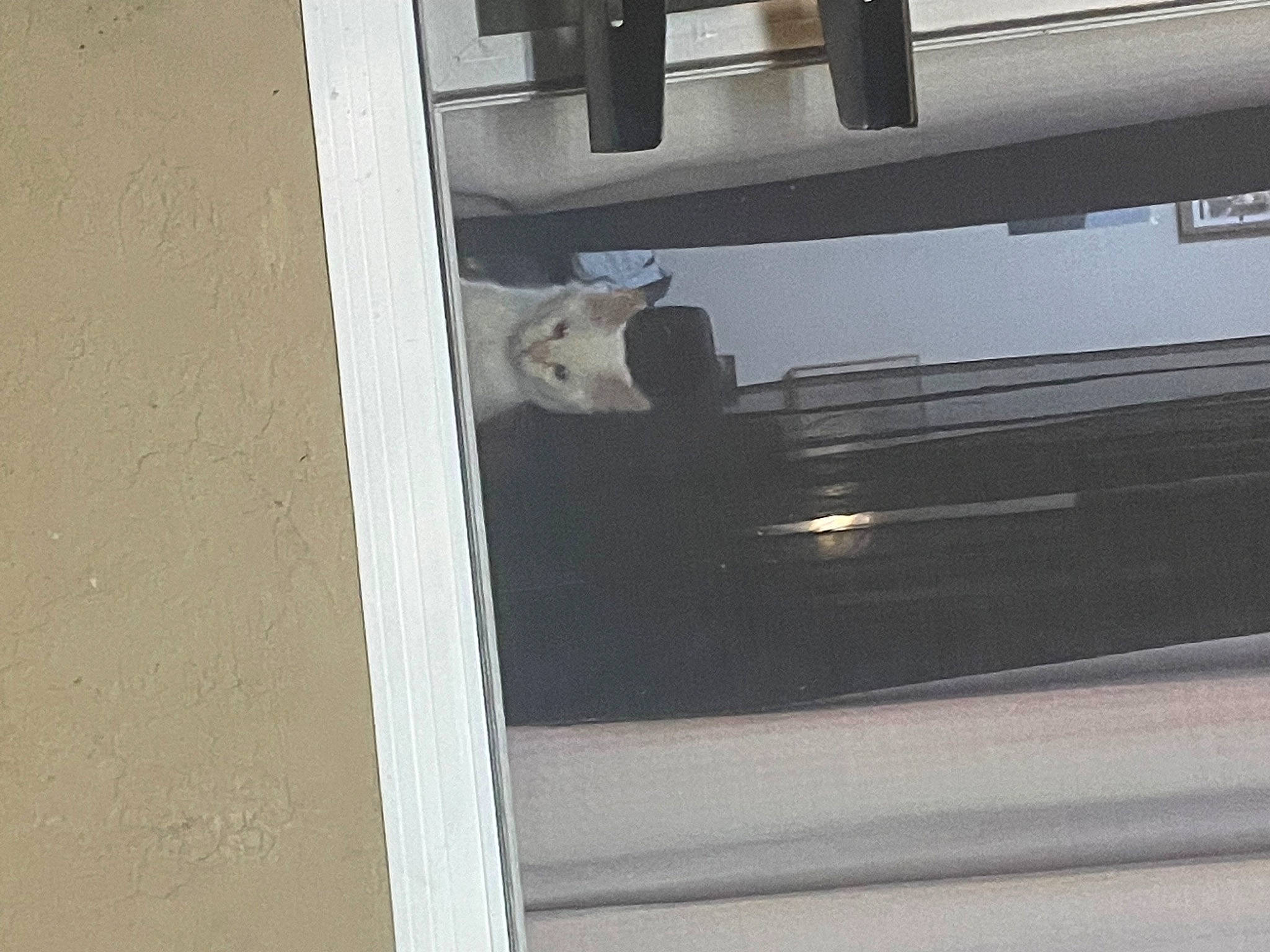 Lucifer is registered to the contest to win money with this photo: automotive_exterior, building, door, fixture, gas, glass, hardwood, machine, metal, room, shelving, steel, vehicle_door, wood