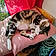 Minette