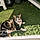 Minette