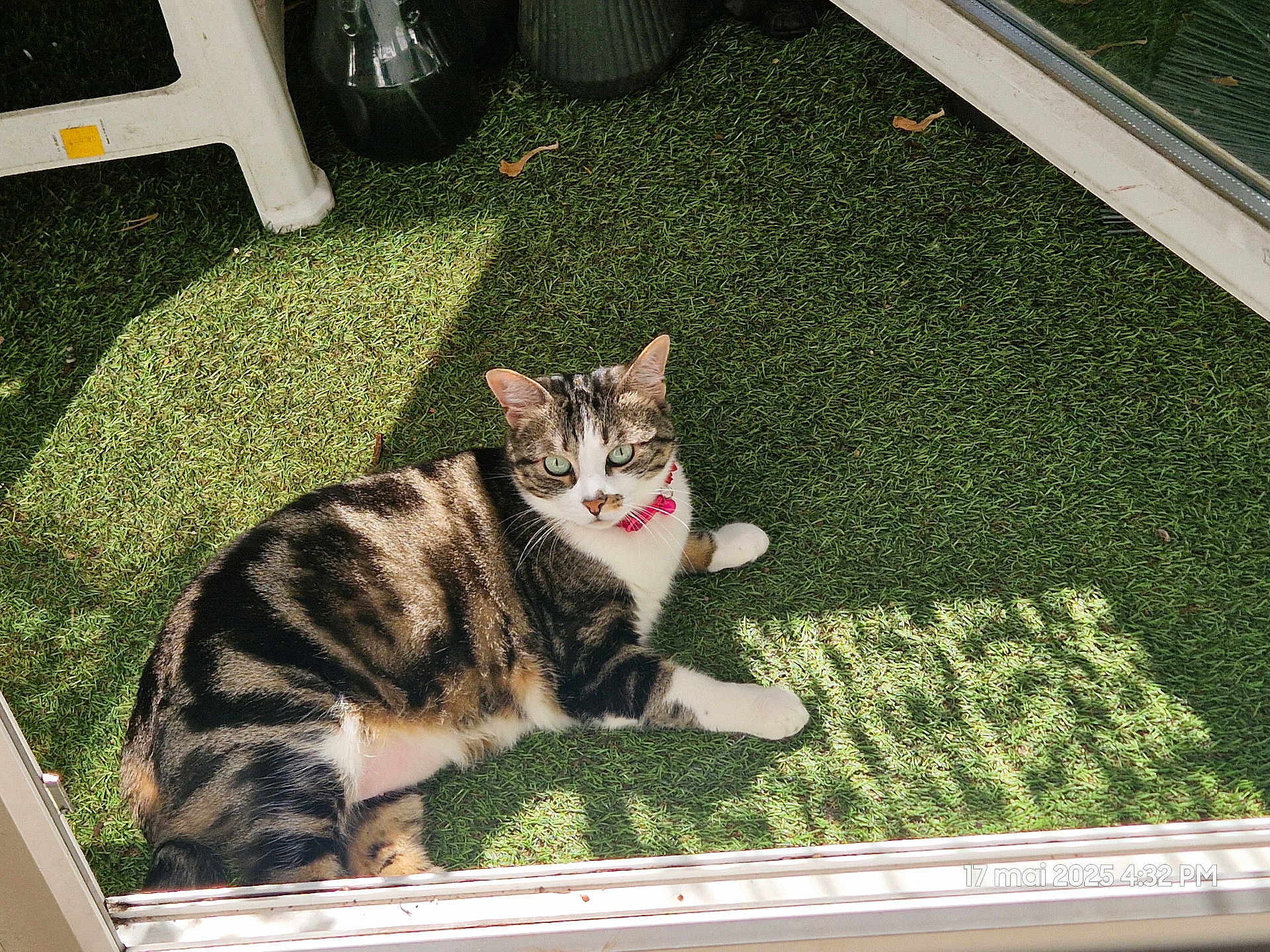 Minette