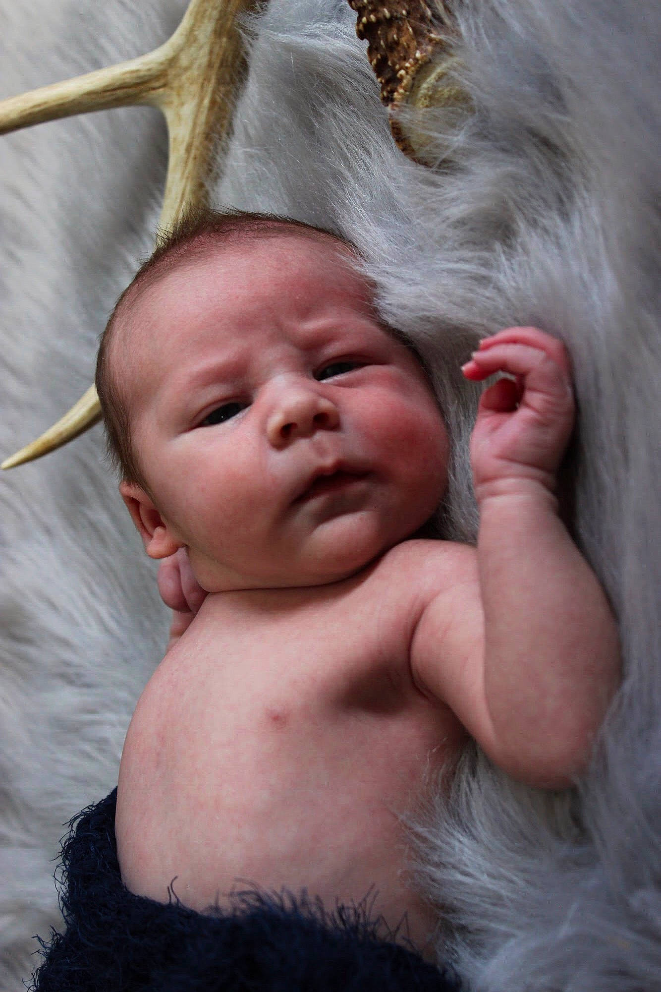 Beaux joined the competition — help win amazing prizes! baby, cheek, child, ear, eye, face, fur, hand, head, headwear, human, lip, nose, person, photography, skin, smile, toddler