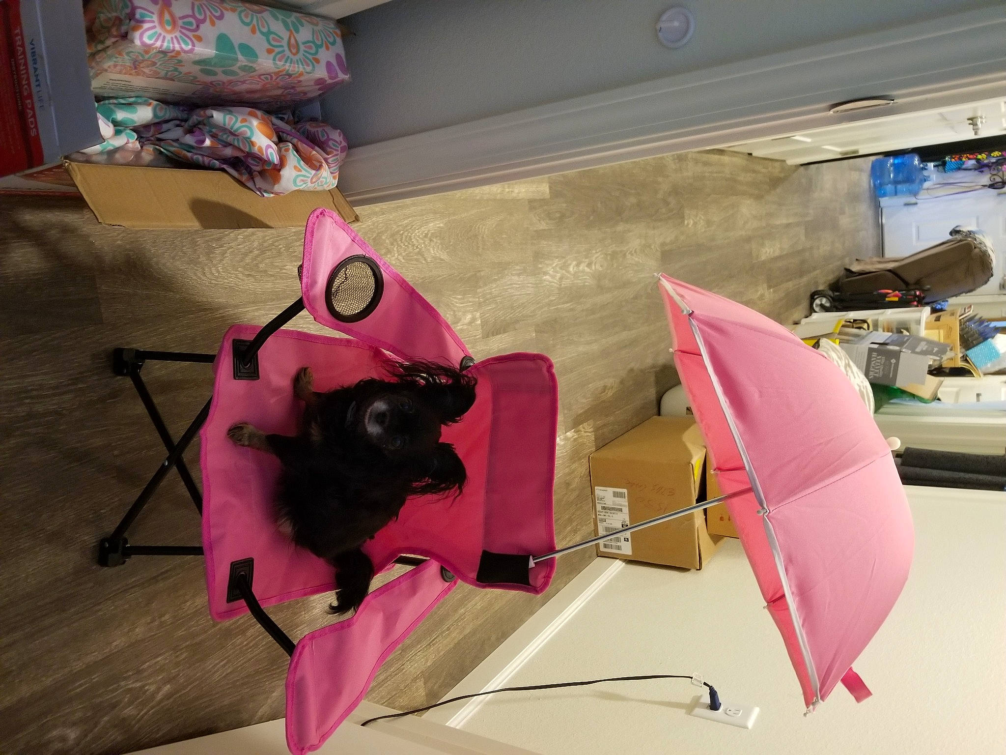 Layla Mae joined the competition — help win amazing prizes! art, automotive_design, bag, cardboard, carmine, design, flooring, machine, magenta, material_property, paper, paper_product, pink, plastic, room, space, stuffed_toy, toy, visual_arts, wood