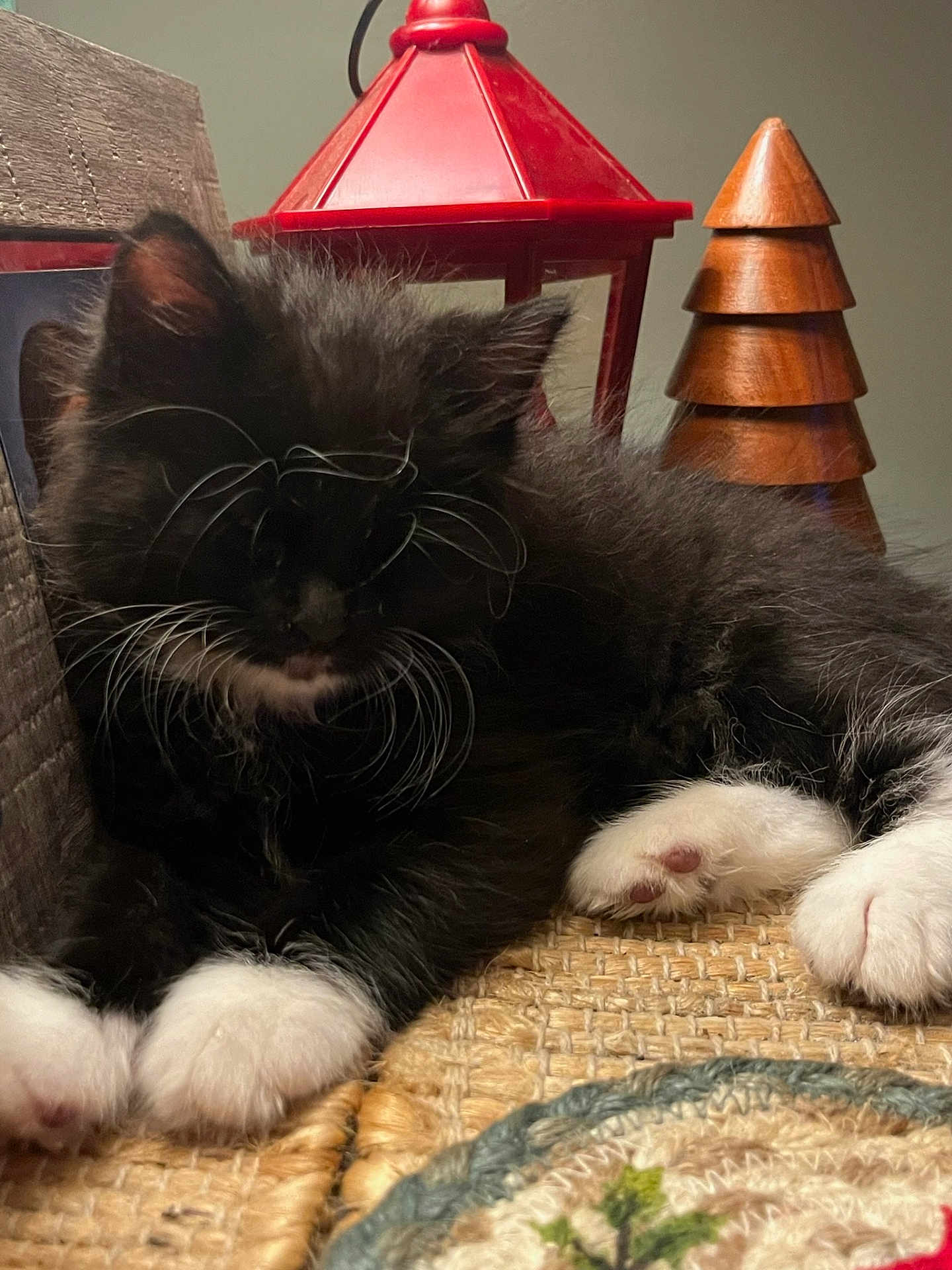 Mitts