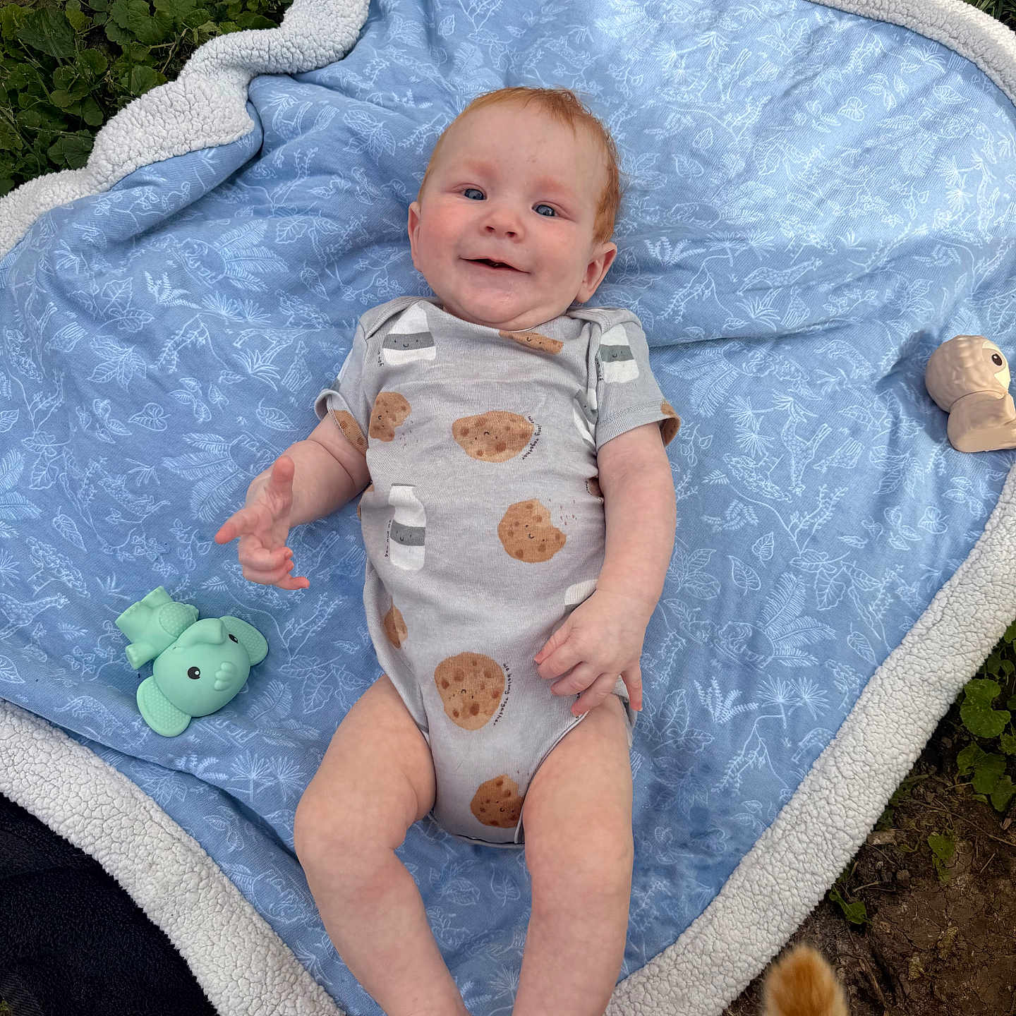 Wyatt
