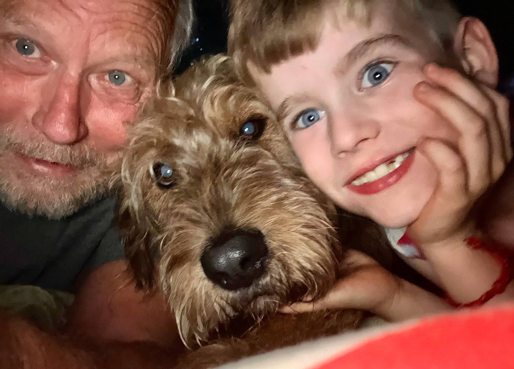 Shaggy is registered to the contest to win money with this photo: beard, carnivore, companion_dog, dog, dog_breed, ear, eye, fun, happy, hat, iris, mammal, nose, sharing, skin, smile, snout, toddler, vertebrate, working_animal