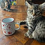 animal, background, cat, curious, cute, domestic_animal, ears, feline, fur, grooming, illustration, indoor, kitten, mug, paw, pet, tabby, table, whiskers, wooden_table