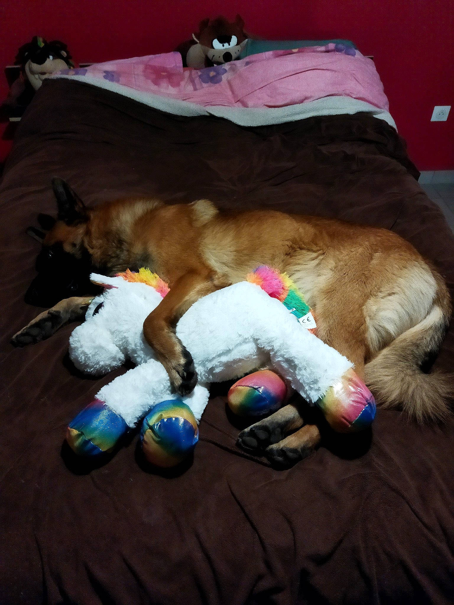 Seth participe au concours pour gagner de l'argent avec cette photo : bag, bedding, comfort, companion_dog, dog_breed, dog_supply, fawn, felidae, flooring, foot, fur, linens, plush, room, sporting_group, stuffed_toy, thread, toy, wool, woolen