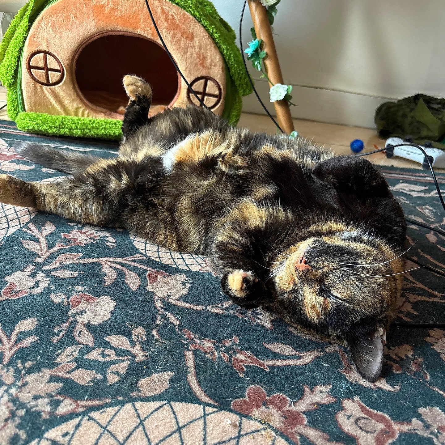Nala