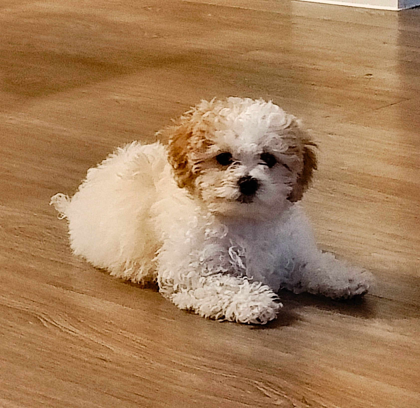 Benny