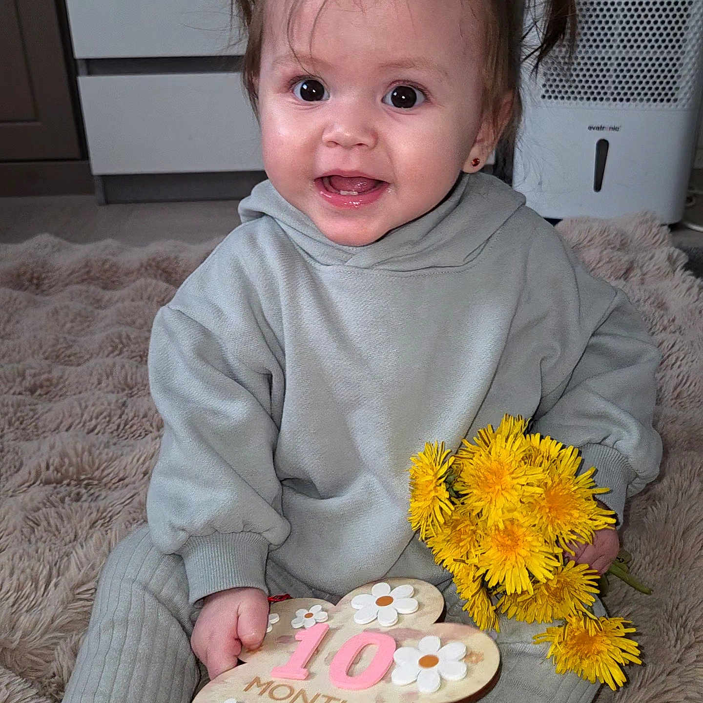 Iris-Anastasia a rejoint le concours — aidez-le/la à gagner de superbes lots ! baby, child, infant, girl, smiling, pigtails, flower_bouquet, dandelions, milestone, plaque, sitting, gray_clothing, hoodie, pants, indoor, carpet, happy, cute, portrait, person