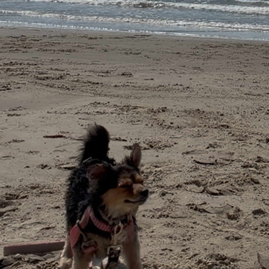 Luna
