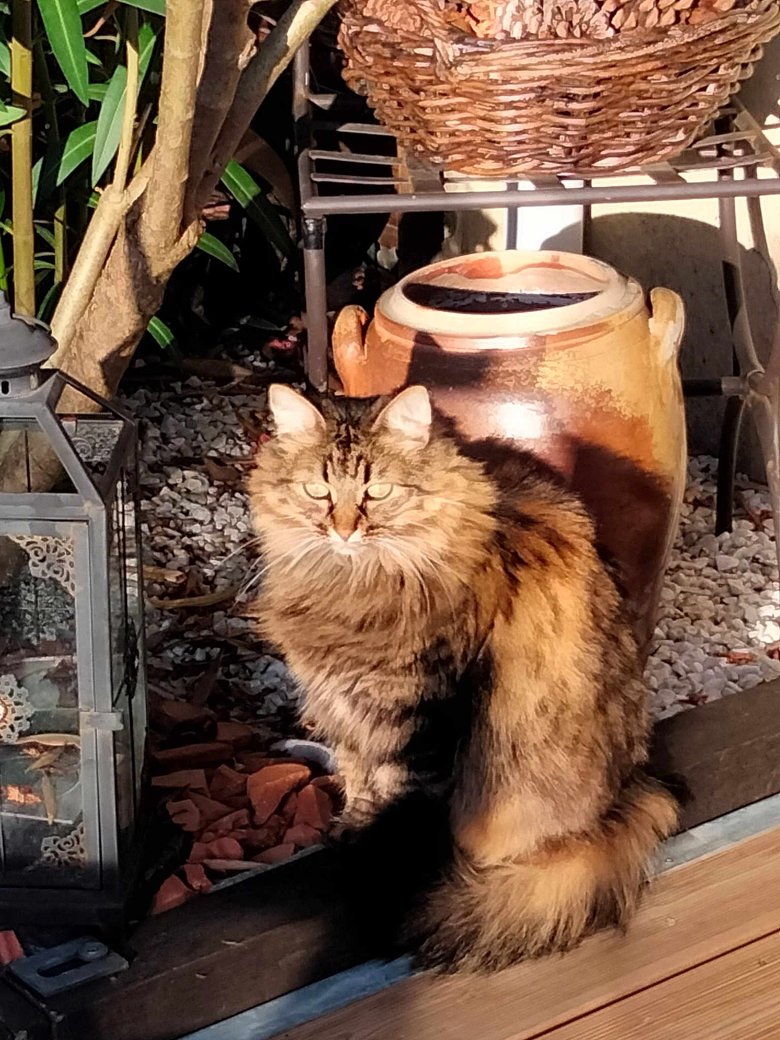 Mika