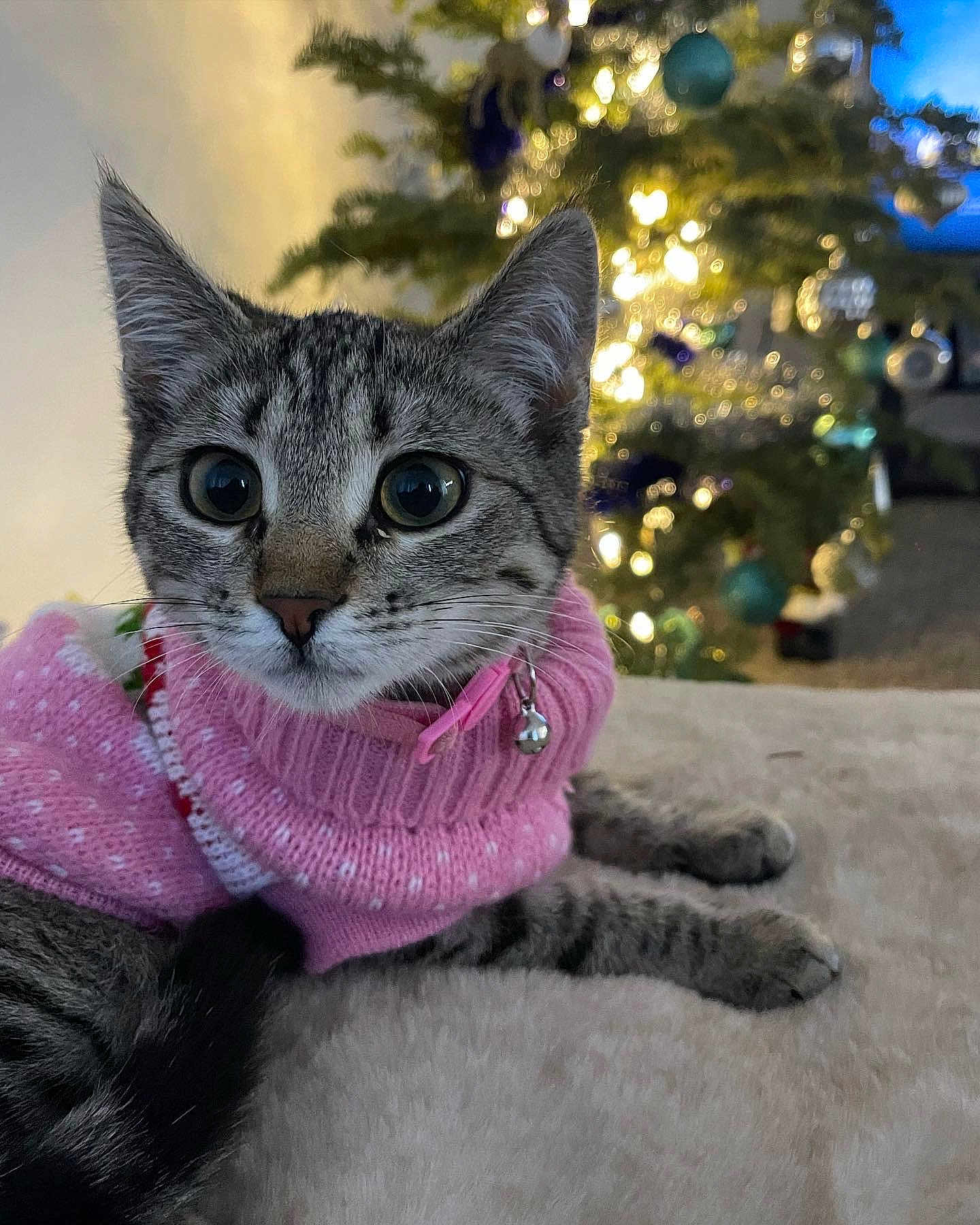 Luna