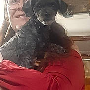 Dolly a rejoint le concours — aidez-le/la à gagner de superbes lots ! animal, black_dog, casual, companion, cute, dog, face, friendly, glasses, holding, home, indoor, long_hair, person, pet, portrait, red_clothing, small_dog, smile, woman