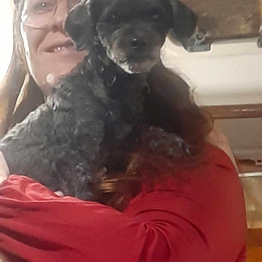 Dolly