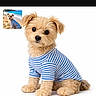 Alba a rejoint le concours — aidez-le/la à gagner de superbes lots ! animal, beach, clothing, cute, dog, domestic_animal, fluffy, friendly, furry, inset_photo, looking_at_camera, pet, portrait, puppy, sitting, small_dog, striped_shirt, studio_photo, white_background, young_dog
