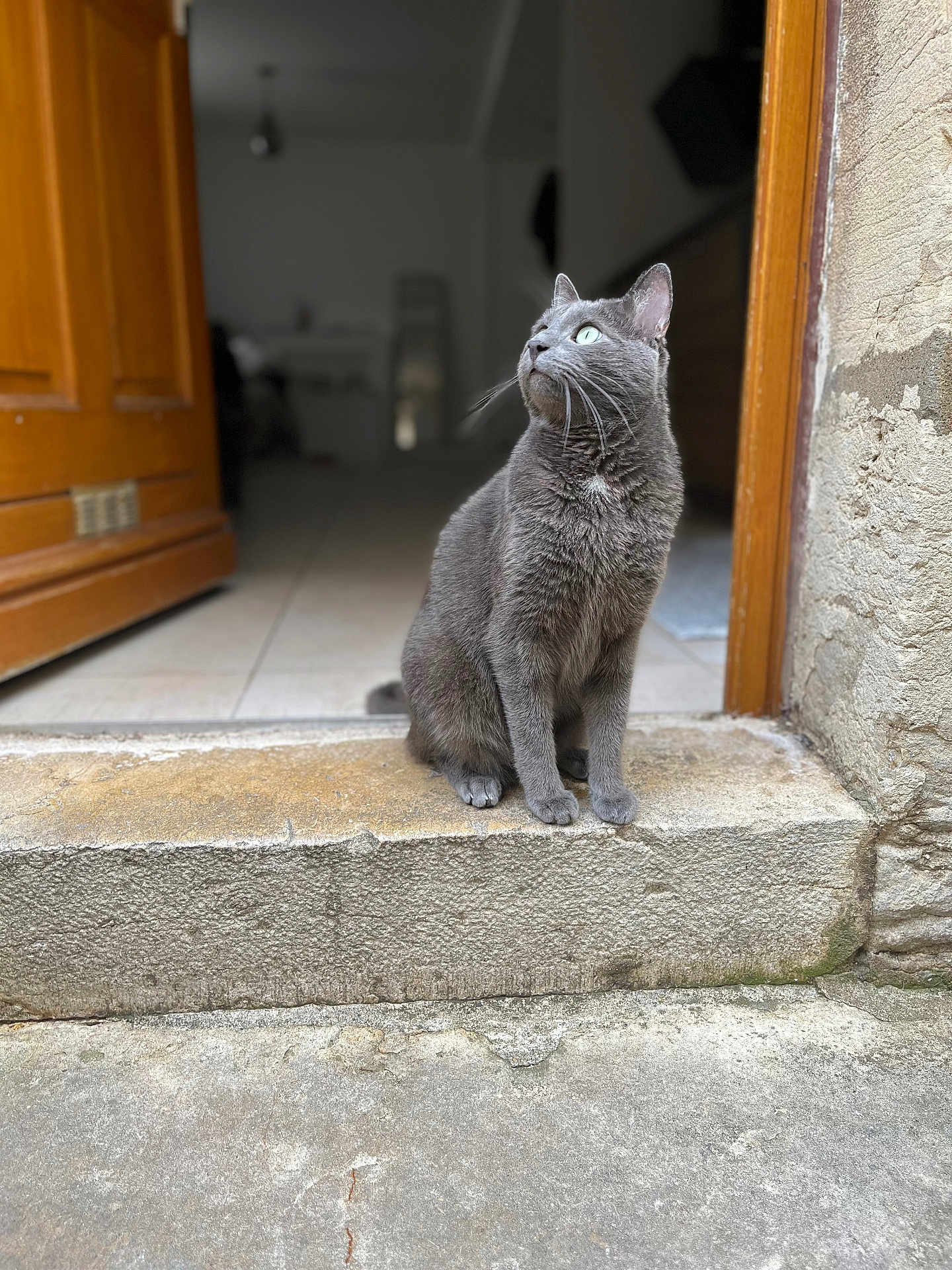 Rajah
