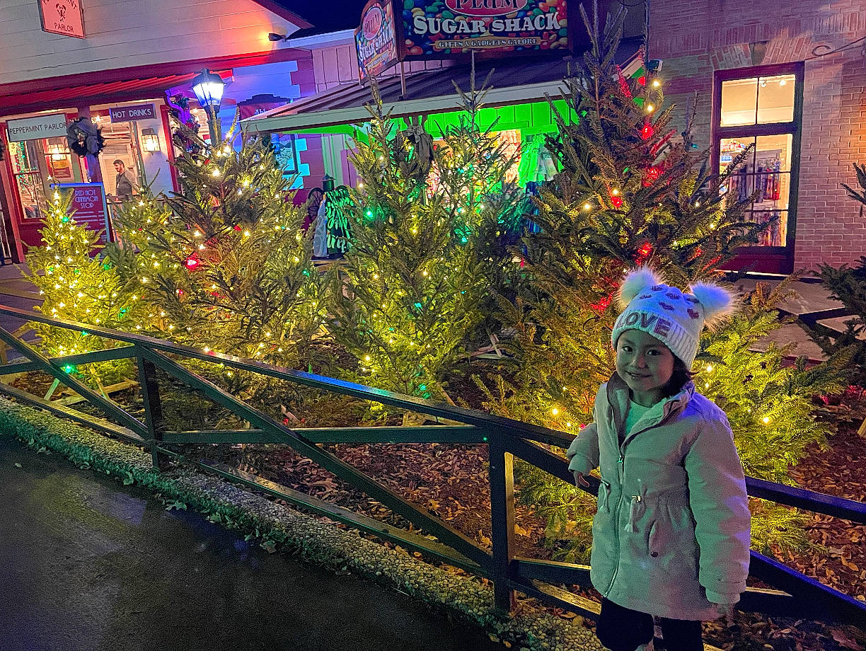 Sofia is registered to the contest to win money with this photo: branch, christmas, christmas_decoration, christmas_eve, christmas_ornament, christmas_tree, conifer, electric_blue, electricity, event, evergreen, fun, headwear, holiday, jacket, joy, leisure, person, plant, purple