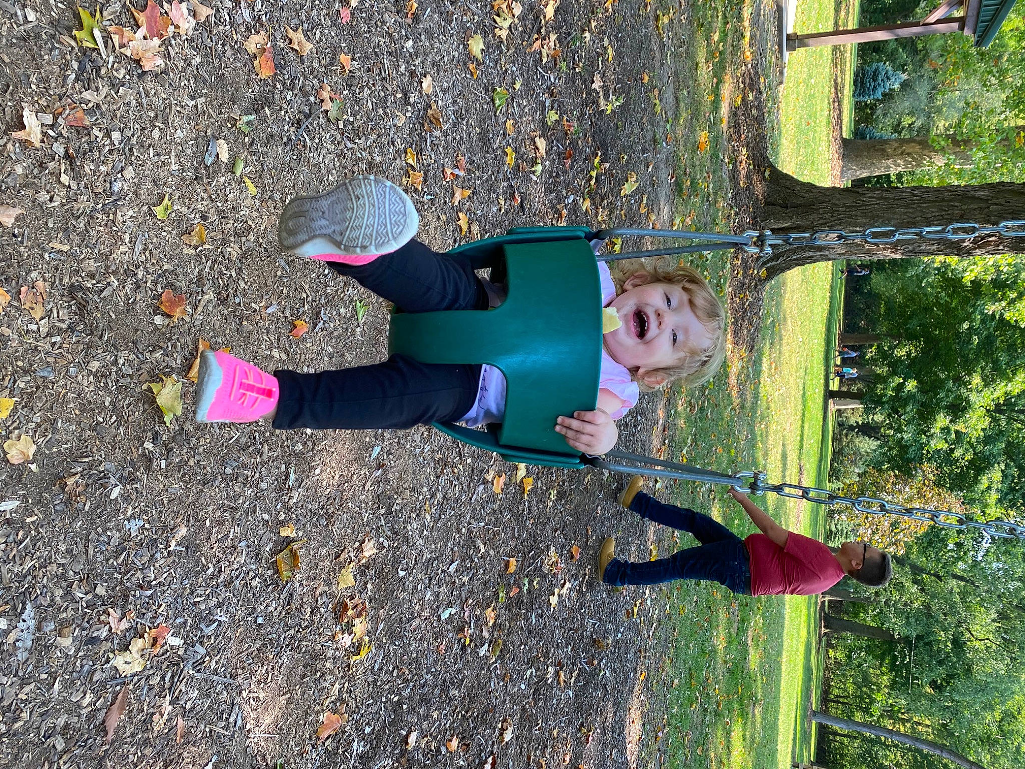 Alexia is registered to the contest to win money with this photo: leaf, person, tree