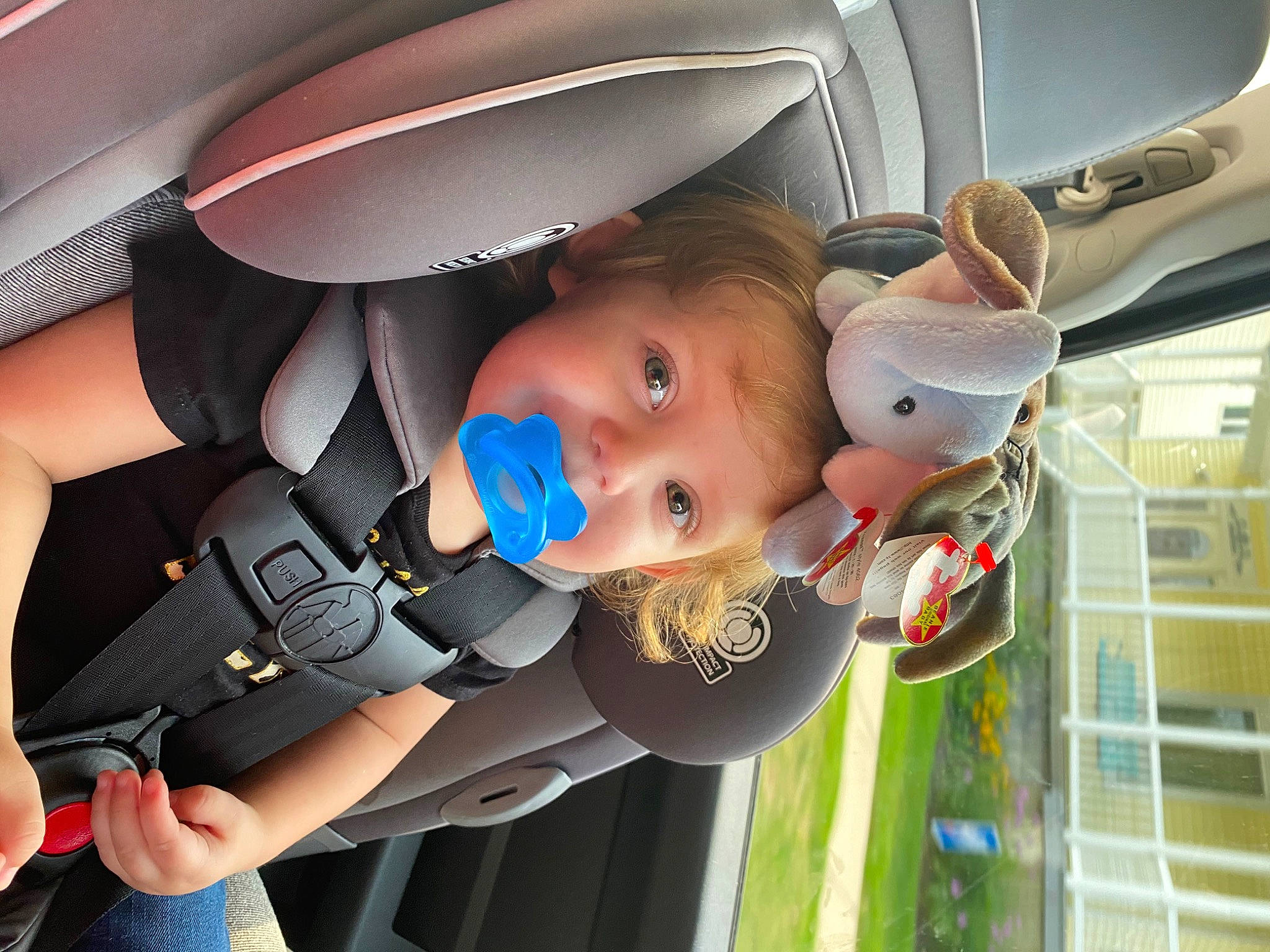 Alexia is registered to the contest to win money with this photo: car_seat, child, family_car, person, toddler