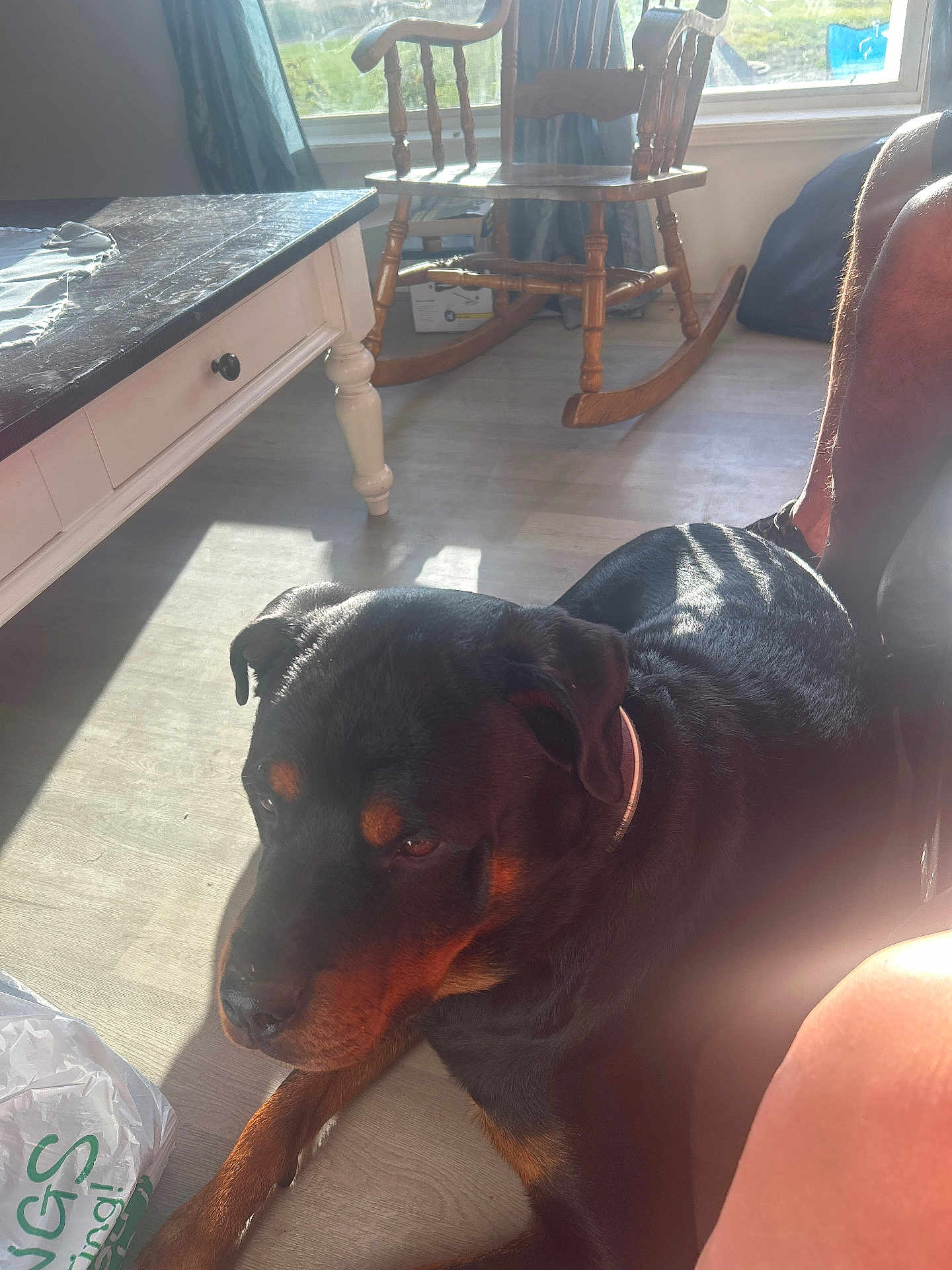 Rocky