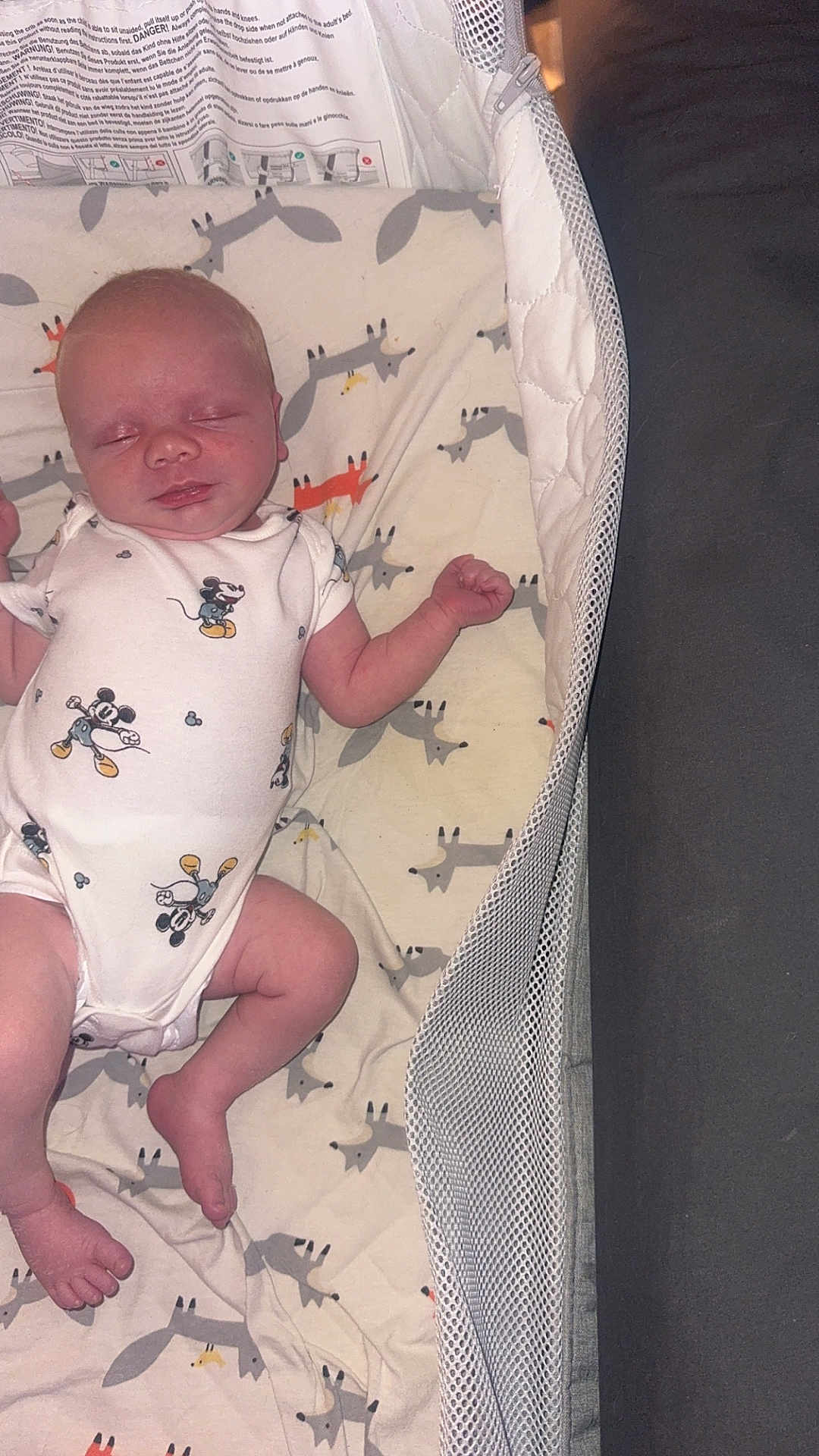 Teddie is registered to the contest to win money with this photo: baby, sleeping, onesie, mickey_mouse, bassinet, blanket, fox_pattern, mesh_sides, infant, cute, peaceful, indoor, child, resting, newborn, soft_lighting, fabric, legs, arms, face