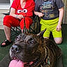 Sultan is registered to the contest to win money with this photo: chair, clothing, collar, dog, door, glasses, green_floor, happy, kneeling, leash, outdoor, person, pet, porch, shorts, sitting, smiling, tags, tongue_out, window