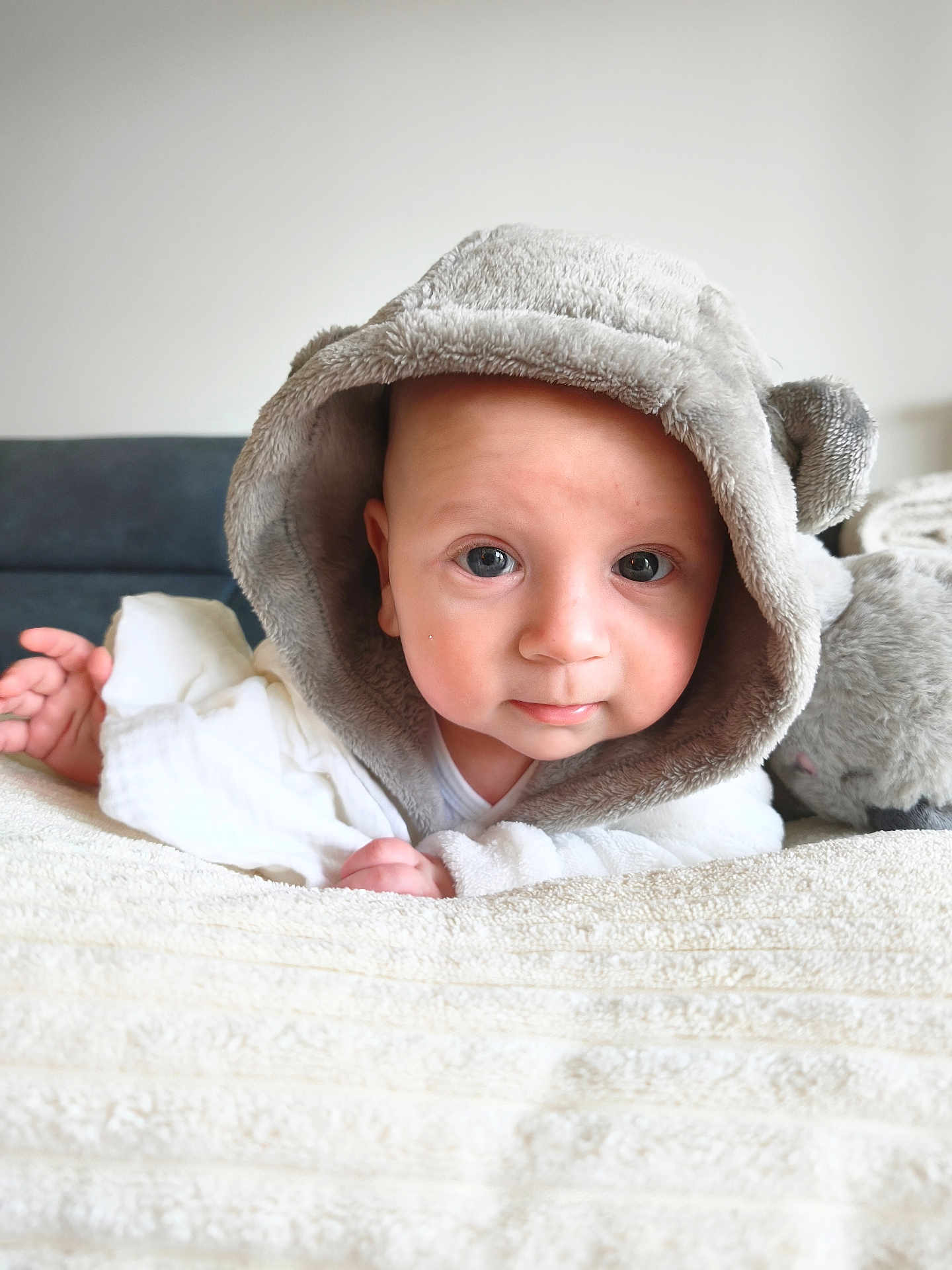 Ayden a rejoint le concours — aidez-le/la à gagner de superbes lots ! baby, infant, child, hood, fluffy_hood, blanket, plush_toy, soft_toy, bed, towel, portrait, closeup, eyes, looking_at_camera, cute, cozy, indoors, skin, headwear, smile