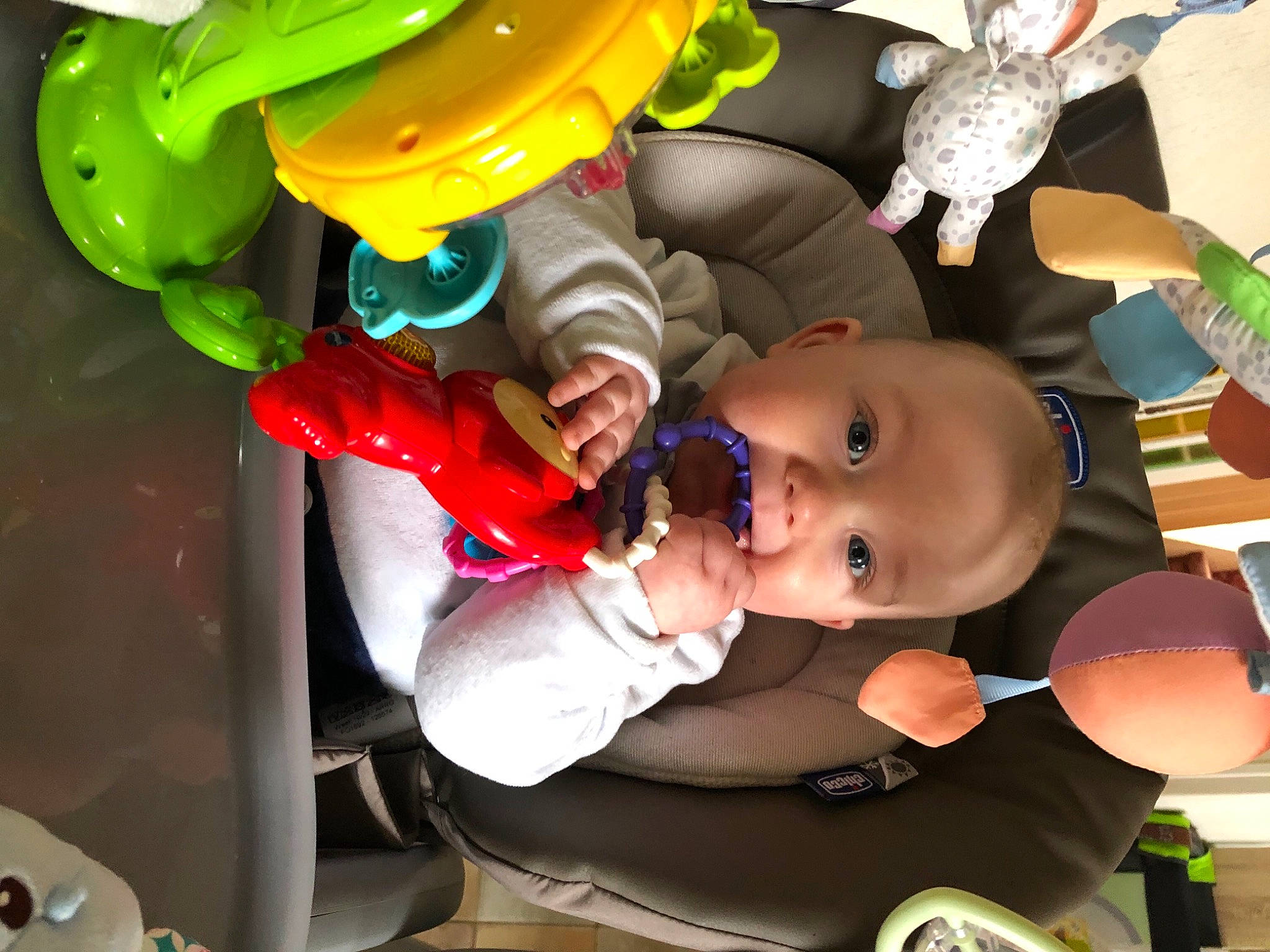 Maylone participe au concours pour gagner de l'argent avec cette photo : baby, baby_products, baby_toddler_clothing, baby_toys, child, event, fictional_character, fun, green, happy, leisure, party, party_supply, person, plastic, play, room, toddler, toy