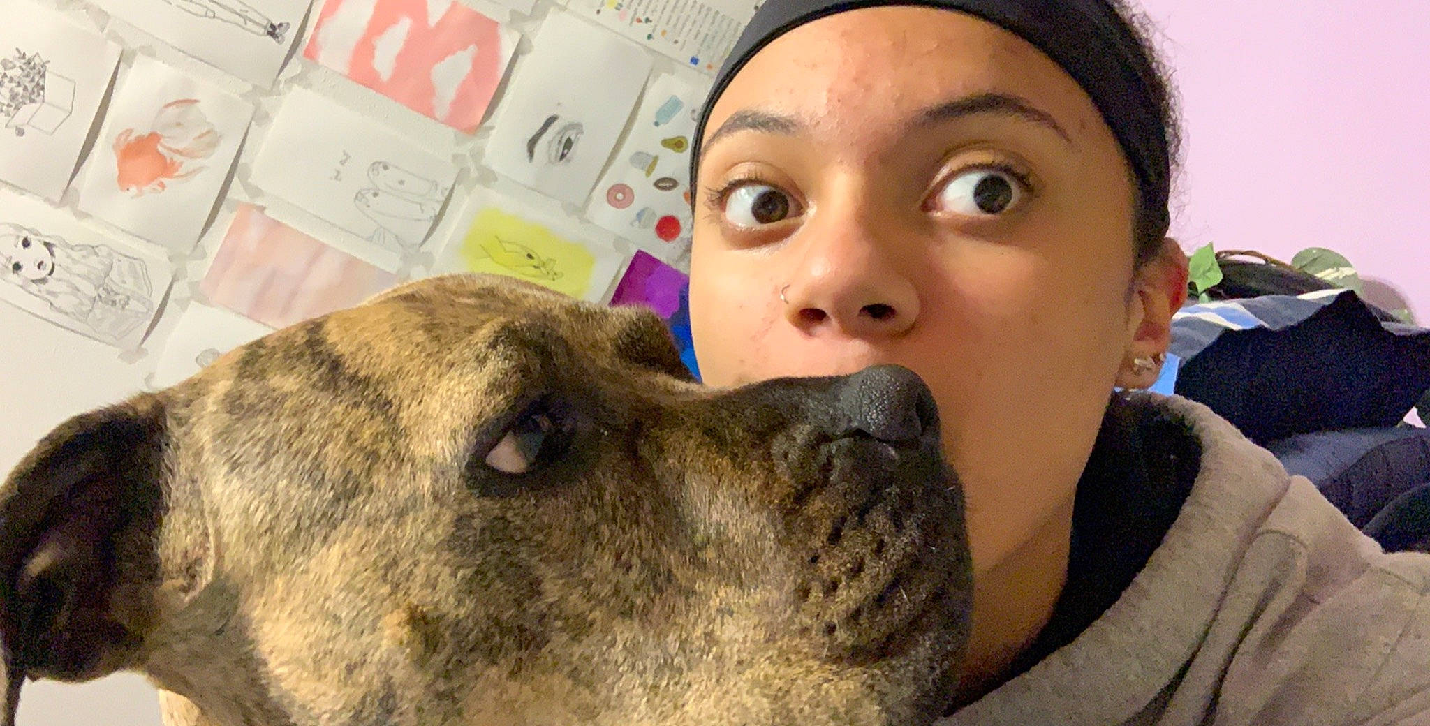 Ruby is registered to the contest to win money with this photo: canidae, carnivore, dog, dog_breed, ear, fawn, head, mammal, nose, puppy_love, selfie, snout, sporting_group, vertebrate