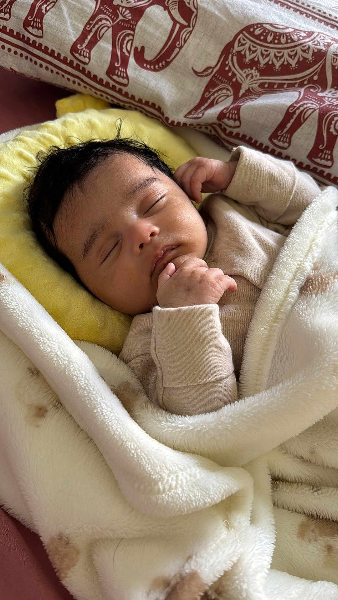Leandra joined the competition — help win amazing prizes! baby, sleeping, blanket, pillow, elephant_pattern, soft_texture, infant, cozy, peaceful, child, wrapped, closeup, indoors, cute, warm, resting, peace, face, hand, clothing