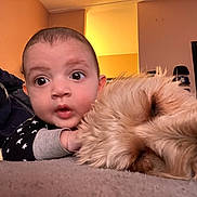 Anthony joined the competition — help win amazing prizes! baby, infant, face, dog, sleeping_dog, pet, wide_eyes, carpet, floor, onesie, star_pattern, fur, close_up, indoor, living_room, pacifier, hat, television, cuddle, cute