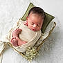 newborn, baby, sleeping, wrapped, basket, pillow, flower, blanket, soft, cozy, infant, peaceful, cute, portrait, skin, foot, hand, head, white, background