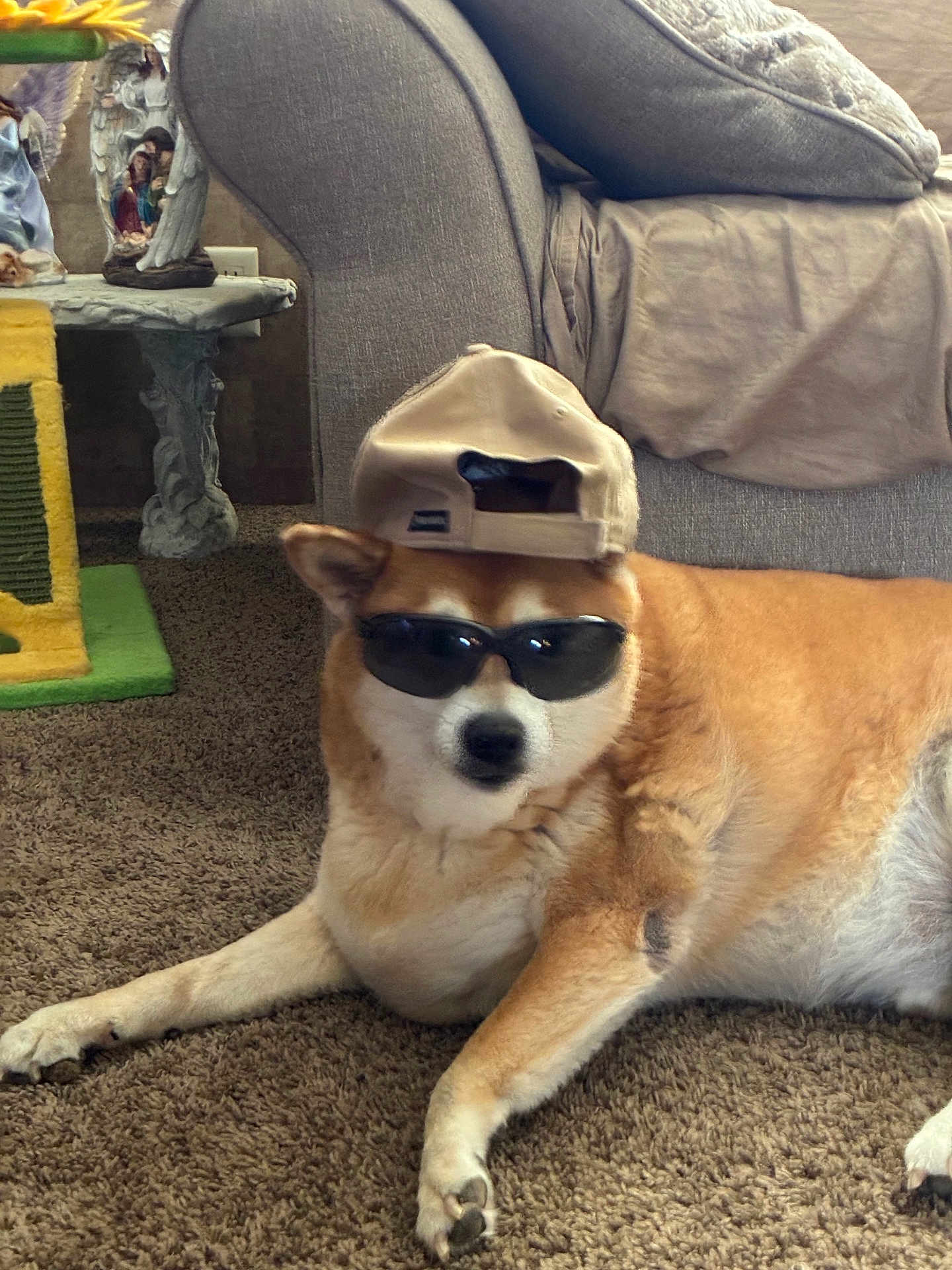 Hatchie is registered to the contest to win money with this photo: dog, shiba_inu, sunglasses, baseball_cap, hat, carpet, couch, living_room, pet, funny, accessory, portrait, paws, fur, relaxed, indoor, furniture, cushion, decor, statue