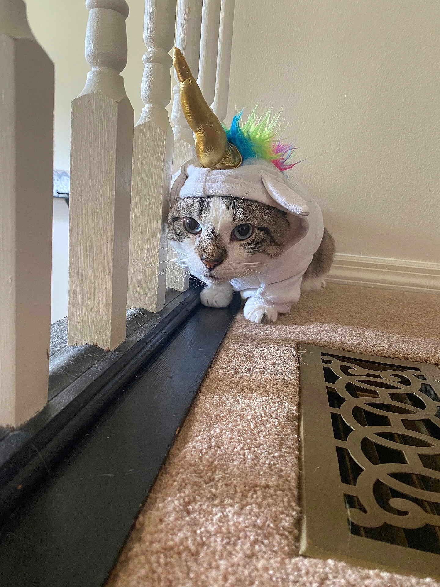 Goose joined the competition — help win amazing prizes! cat, costume, unicorn, indoor, carpet, pet, animal, cute, curious, feline, horn, rainbow, white, brown, striped, wooden_railing, floor_vent, close_up, playful, domestic_cat
