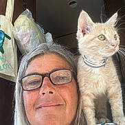 Mr Sam joined the competition — help win amazing prizes! woman, glasses, cat, kitten, shoulder, indoor, smiling, light_orange_tabby, hair, face, pet, curious, person, eyewear, closeup, casual, happy, domestic, portrait, household
