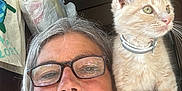 Mr Sam joined the competition — help win amazing prizes! casual, cat, closeup, curious, domestic, eyewear, face, glasses, hair, happy, household, indoor, kitten, light_orange_tabby, person, pet, portrait, shoulder, smiling, woman