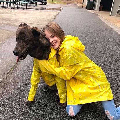 Dutch is registered to the contest to win money with this photo: asphalt, carnivore, companion_dog, dog, dog_breed, fur, guard_dog, happy, mammal, metal, personal_protective_equipment, road, road_surface, sidewalk, smile, street, tail, tire, vehicle, wheel