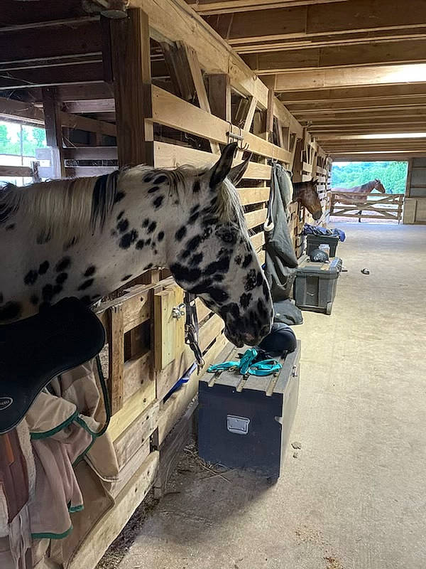 Sunny is registered to the contest to win money with this photo: automotive_exterior, automotive_tire, automotive_wheel_system, bag, building, bumper, fender, luggage_and_bags, machine, metal, military_camouflage, motor_vehicle, parking, pattern, room, snout, transport, vehicle_door, window, wood