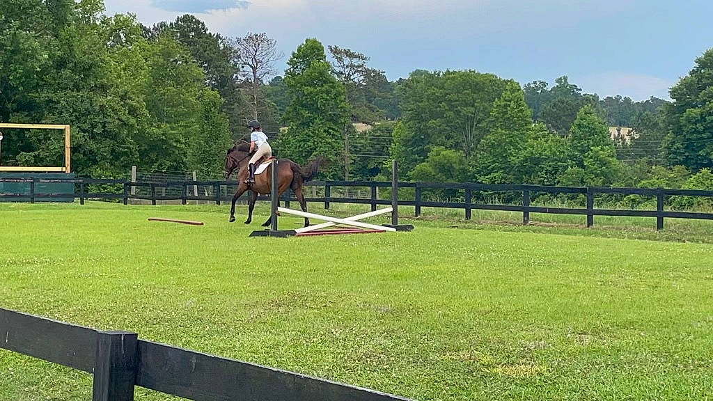 Lonestar is registered to the contest to win money with this photo: bit, bridle, cloud, english_riding, equestrian_helmet, equestrian_sport, fence, grass, helmet, horse, horse_supplies, horse_tack, outdoor_recreation, plant, saddle, show_jumping, sky, sorrel, tree, working_animal