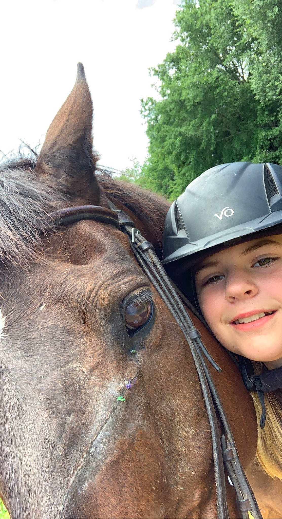 Lonestar joined the competition — help win amazing prizes! bit, bridle, cap, equestrian_helmet, eye, helmet, horse, horse_supplies, horse_tack, human_body, liver, pack_animal, personal_protective_equipment, rein, saddle, sky, smile, snout, tree, working_animal