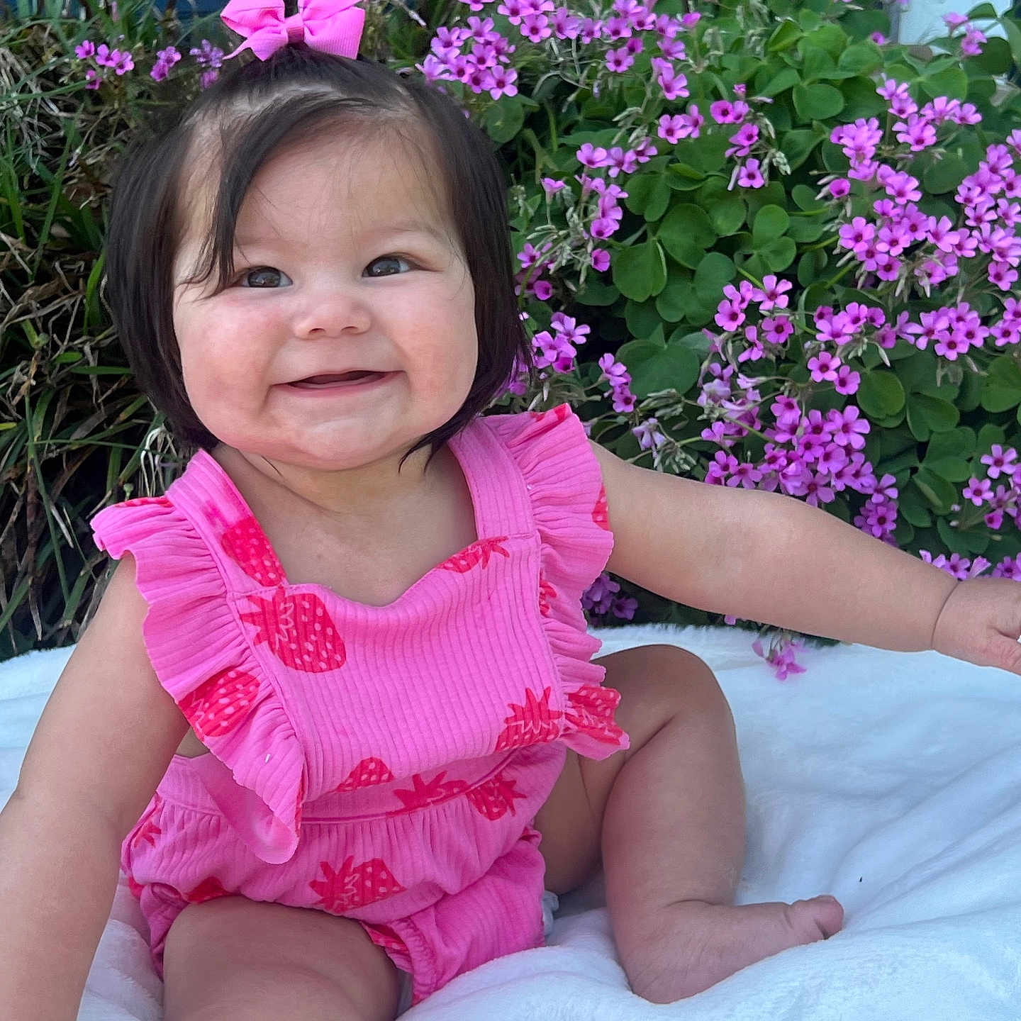 Luna joined the competition — help win amazing prizes! baby, clothing, daisy, face, flower, geranium, grass, happy, head, herbal, herbs, person, petal, photography, plant, portrait, pottedplant, purple, summer, vegetation