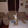 animal, blurry, cat, couch, curtain, decoration, flash, furniture, home, indoor, living_room, paws, pet, playful, standing, string, table, toy, wall, yellow_eye