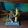 Gato joined the competition — help win amazing prizes! animal, cable, cat, climbing, domestic_cat, feline, floor, furniture, gray_cat, home, indoor, kitten, paw, pet, playful, scratching_post, texture, toy, wall, wooden_floor