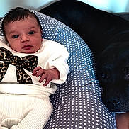 Apolline participe au concours pour gagner de l'argent avec cette photo : baby, infant, polka_dot, cushion, dog, black_dog, pet, white_clothing, sweater, bow, leopard_print, resting, face, hand, fingers, indoor, comfort, relaxation, person, animal