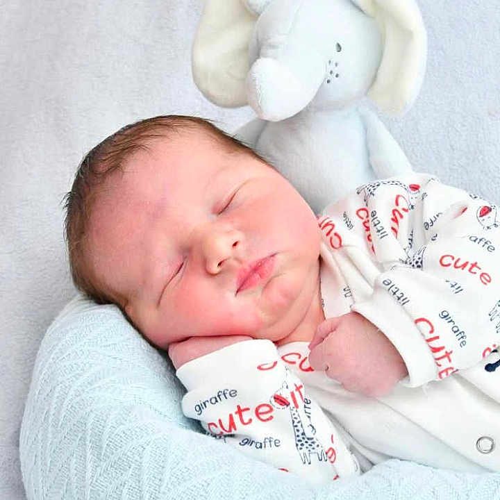 Eden participe au concours pour gagner de l'argent avec cette photo : baby, baby_clothes, child, close_up, cozy, cushion, cute, giraffe_pattern, indoors, infant, newborn, peaceful, plush_elephant, portrait, rest, sleep, sleeping, soft_lighting, soft_toy, white_outfit