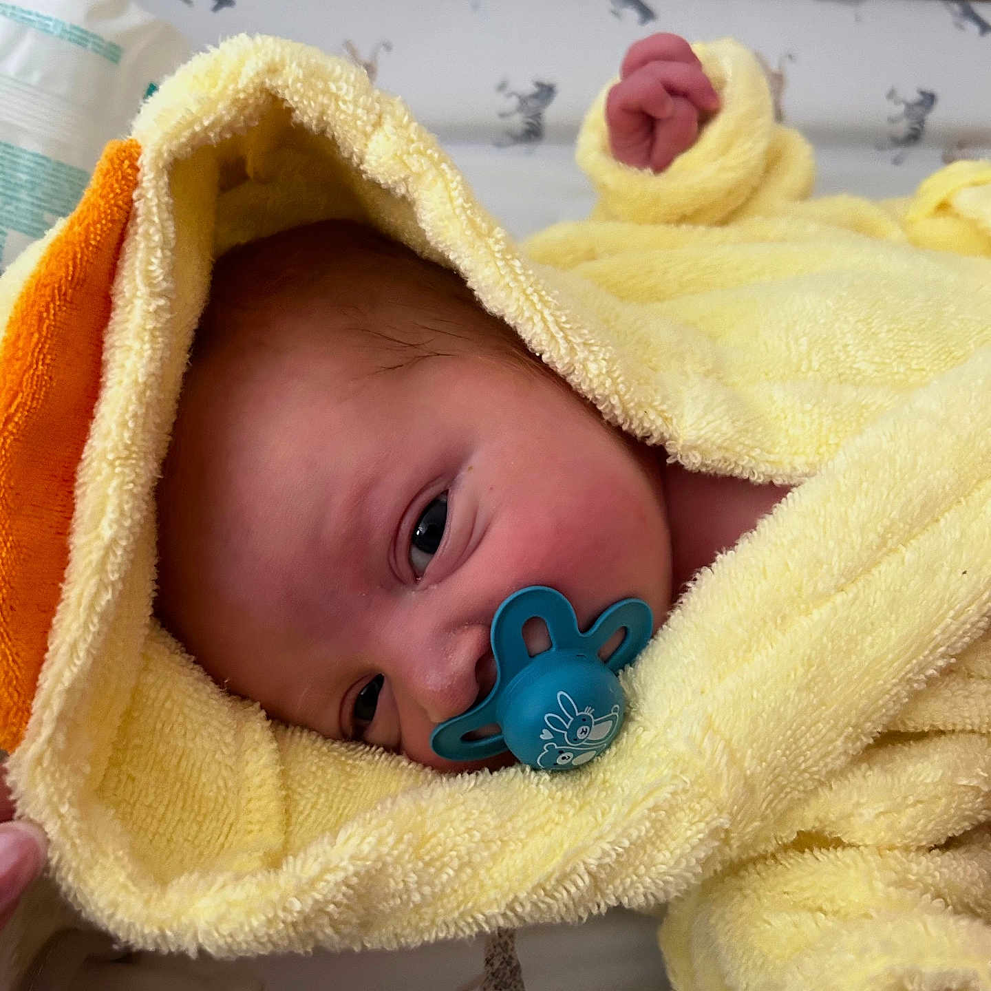 Theo is registered to the contest to win money with this photo: baby, bed, blanket, bonnet, clothing, crib, face, furniture, hat, head, homedecor, hood, infantbed, newborn, person, photography, portrait, quilt, sleeping, towel